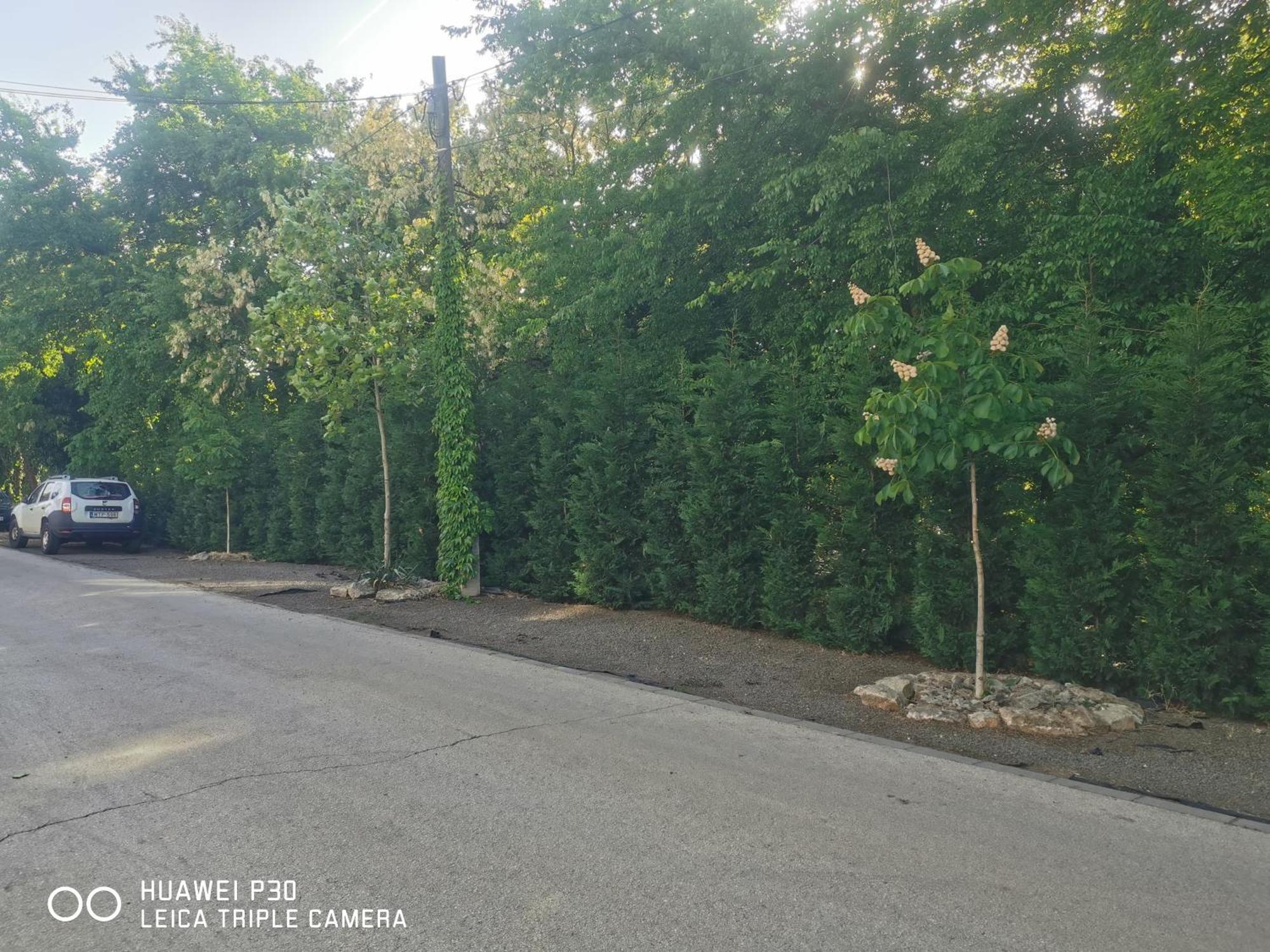 Kuria Apartman Budapest With Free Parking Bagian luar foto