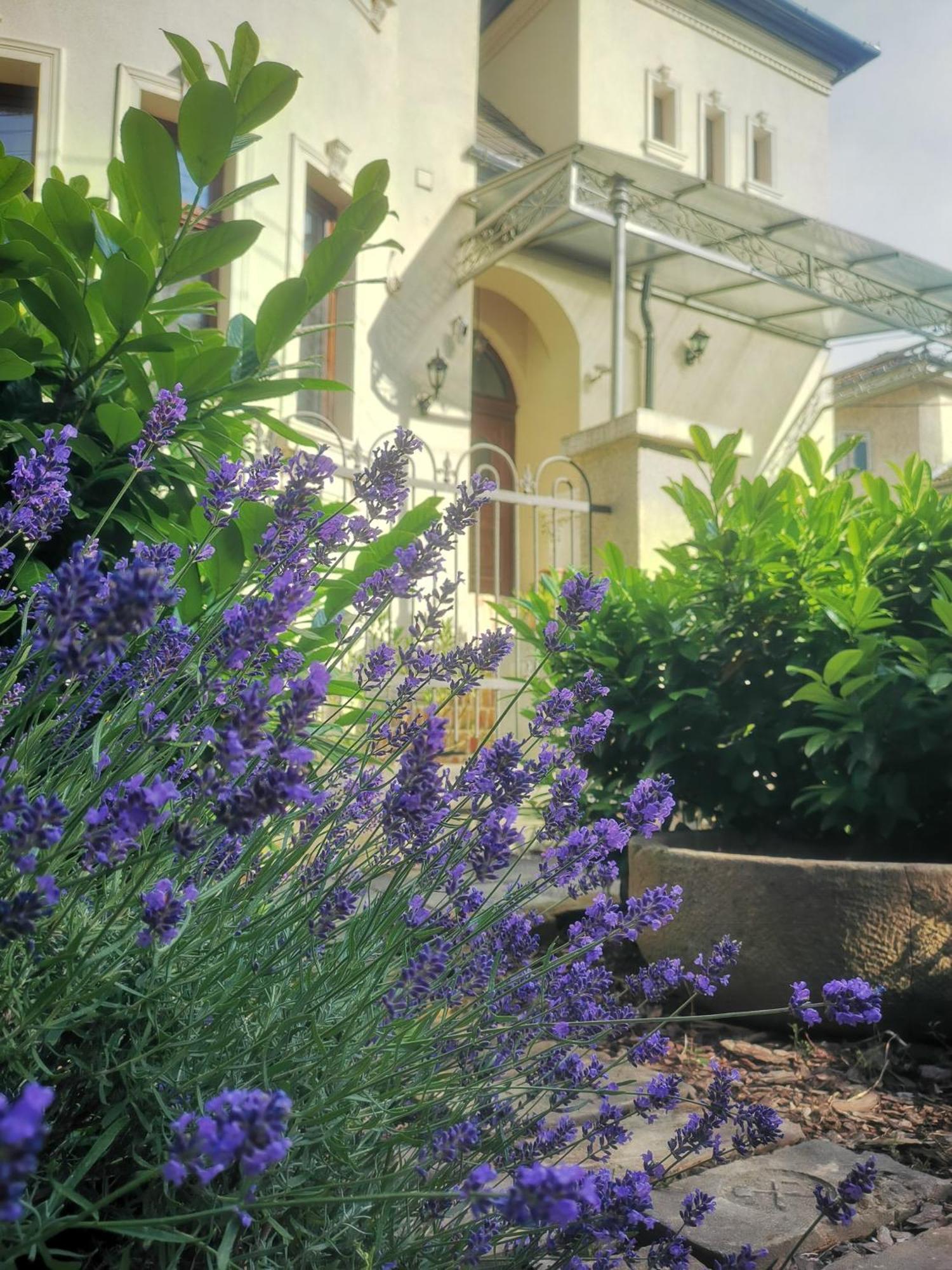 Kuria Apartman Budapest With Free Parking Bagian luar foto