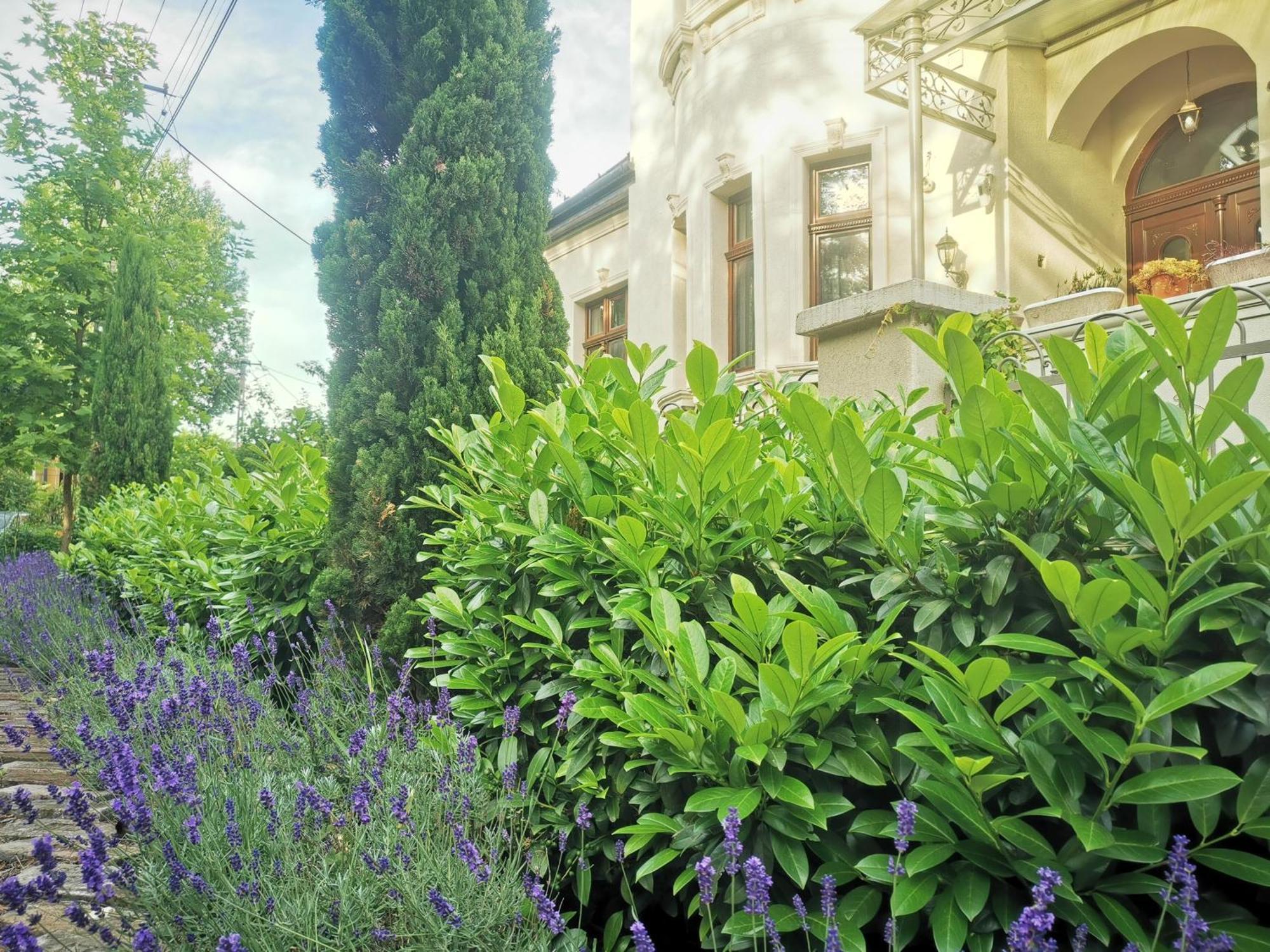 Kuria Apartman Budapest With Free Parking Bagian luar foto